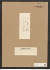 Berkeleya rutilans var. drillwynii (Ag.) Grun. (de-Toni-Nr.: Genus 21, Species 1218) Zeichnungen Sammlung Grunow (NHMW-BOT-W0369479)